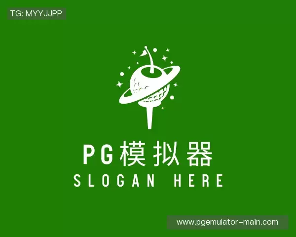 介绍pg模拟器